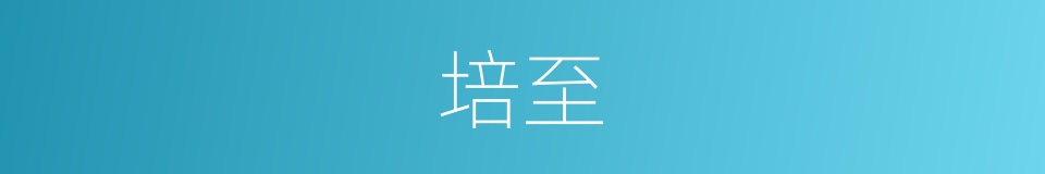 培至的同义词