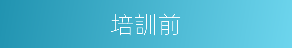 培訓前的同義詞