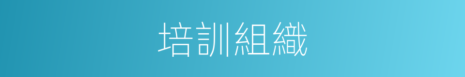 培訓組織的同義詞
