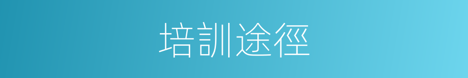 培訓途徑的同義詞