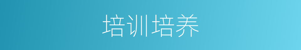 培训培养的同义词