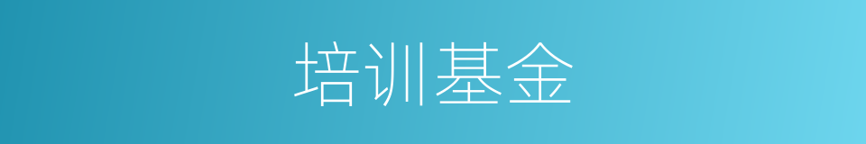 培训基金的同义词