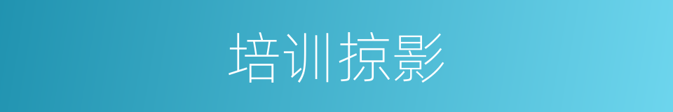 培训掠影的同义词