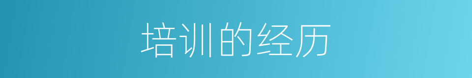 培训的经历的同义词