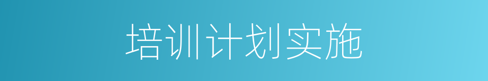 培训计划实施的同义词