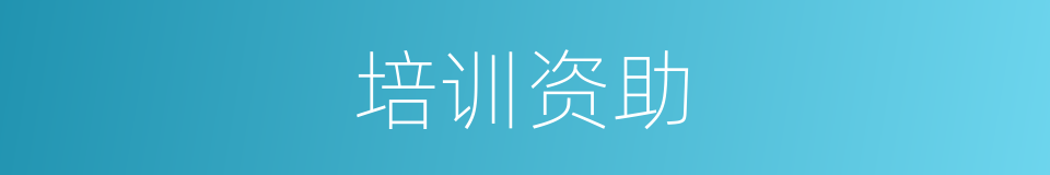 培训资助的同义词