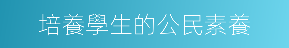 培養學生的公民素養的同義詞