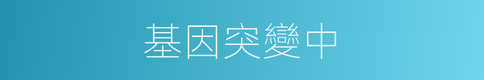 基因突變中的同義詞