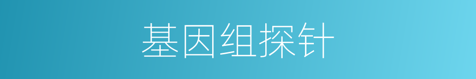 基因组探针的同义词