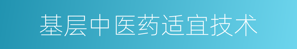 基层中医药适宜技术的同义词