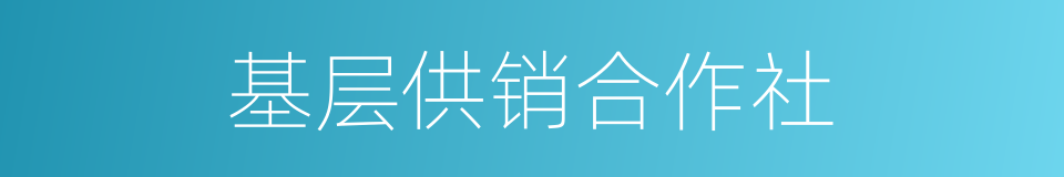 基层供销合作社的同义词