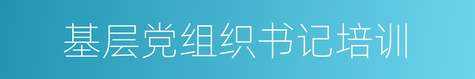 基层党组织书记培训的同义词