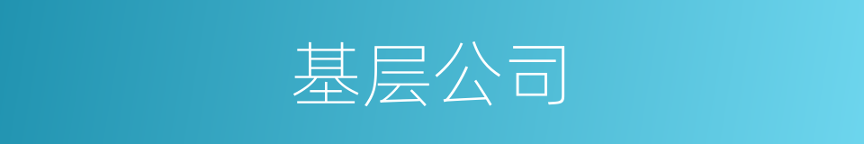 基层公司的同义词