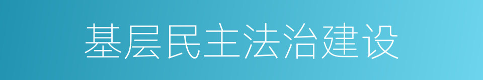 基层民主法治建设的同义词