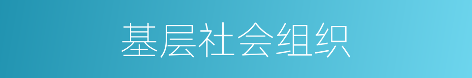 基层社会组织的同义词