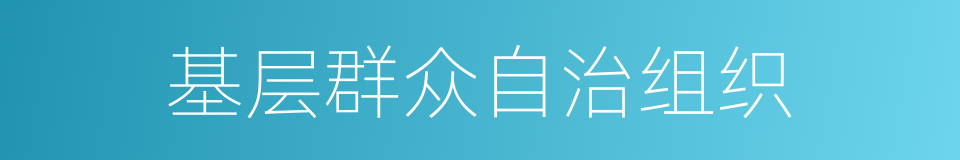 基层群众自治组织的同义词