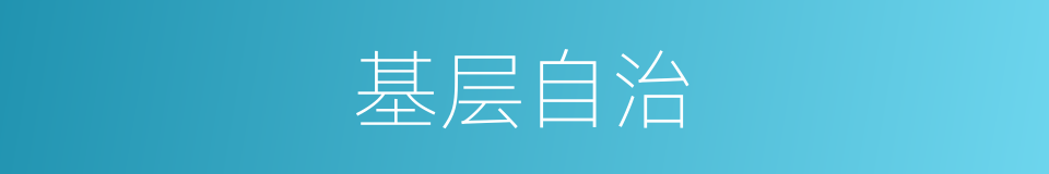 基层自治的同义词