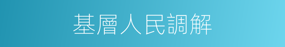 基層人民調解的同義詞