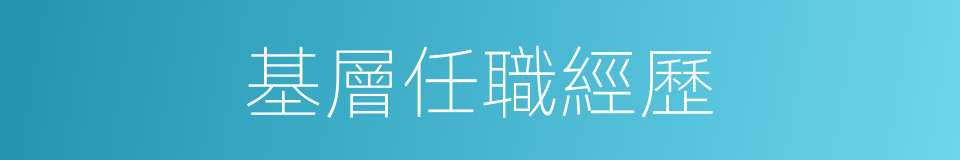 基層任職經歷的同義詞