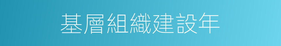 基層組織建設年的同義詞