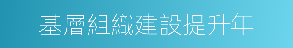 基層組織建設提升年的同義詞