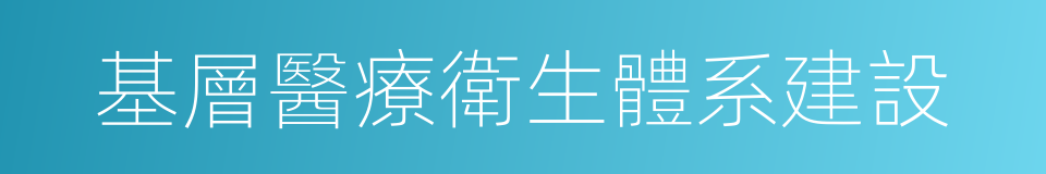 基層醫療衛生體系建設的同義詞