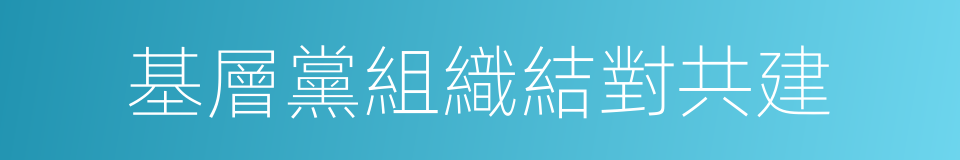 基層黨組織結對共建的同義詞