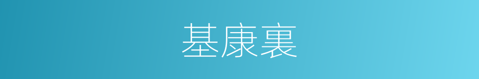 基康裏的同義詞