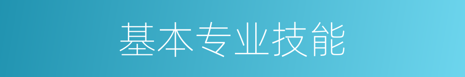 基本专业技能的同义词