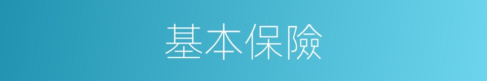 基本保險的同義詞