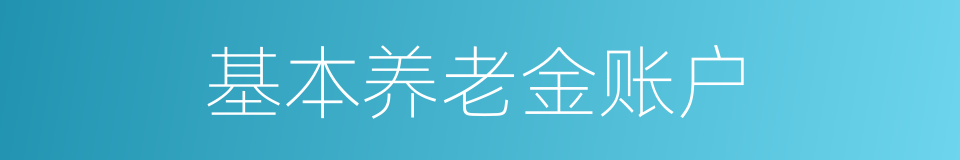 基本养老金账户的同义词