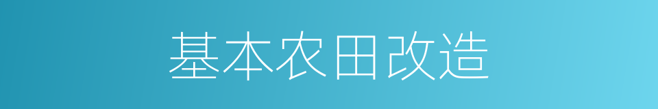 基本农田改造的同义词