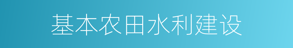 基本农田水利建设的同义词