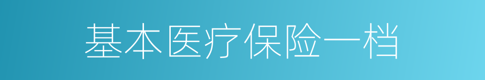 基本医疗保险一档的同义词