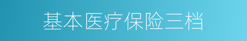 基本医疗保险三档的同义词