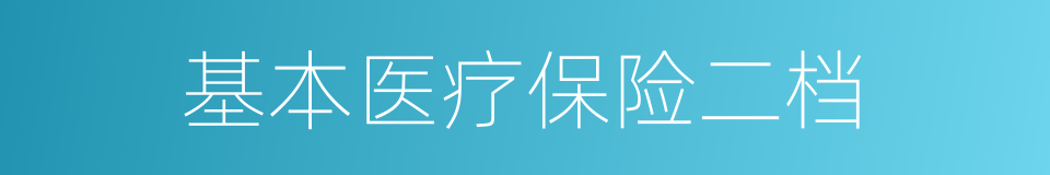 基本医疗保险二档的同义词