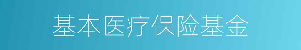 基本医疗保险基金的同义词