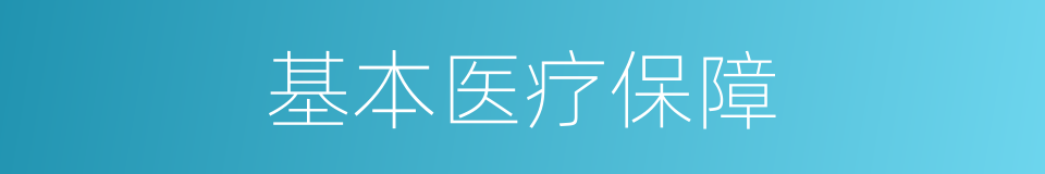 基本医疗保障的同义词