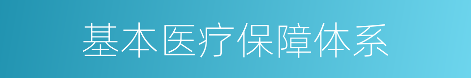 基本医疗保障体系的同义词