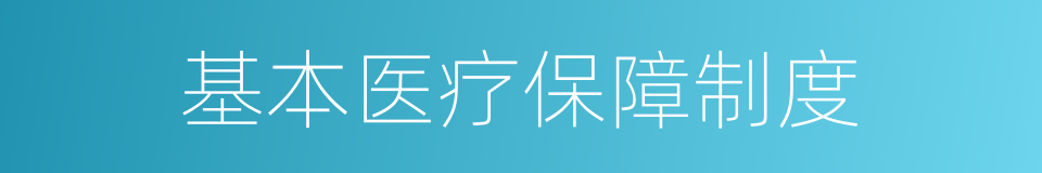 基本医疗保障制度的同义词