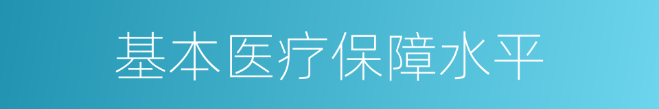 基本医疗保障水平的同义词