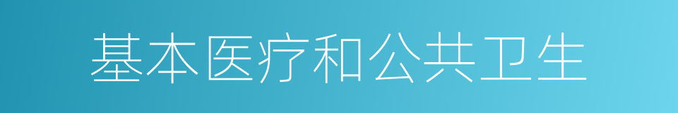 基本医疗和公共卫生的同义词