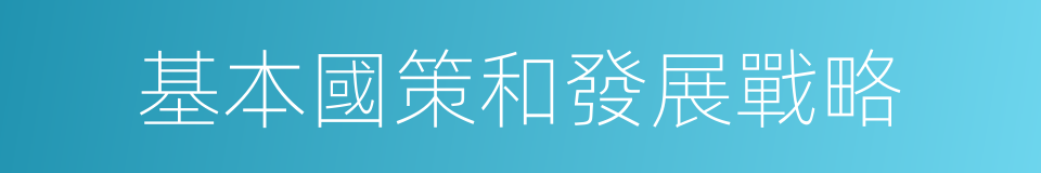 基本國策和發展戰略的同義詞