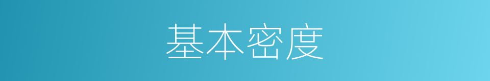 基本密度的同义词