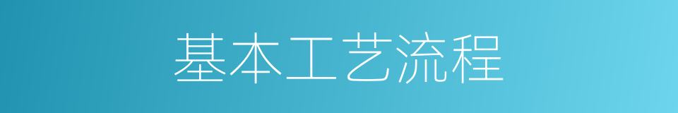 基本工艺流程的同义词
