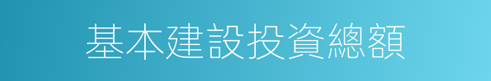 基本建設投資總額的同義詞