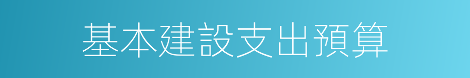 基本建設支出預算的同義詞