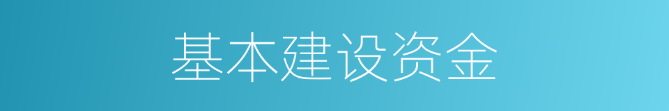 基本建设资金的同义词