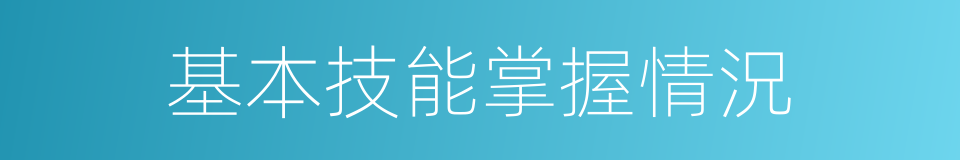 基本技能掌握情況的同義詞