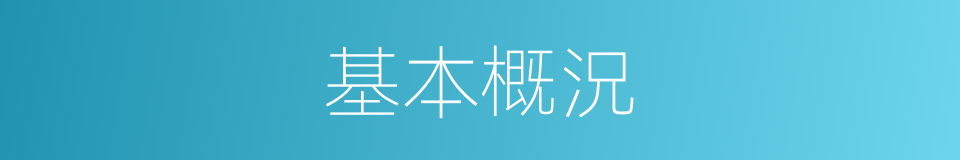 基本概況的意思